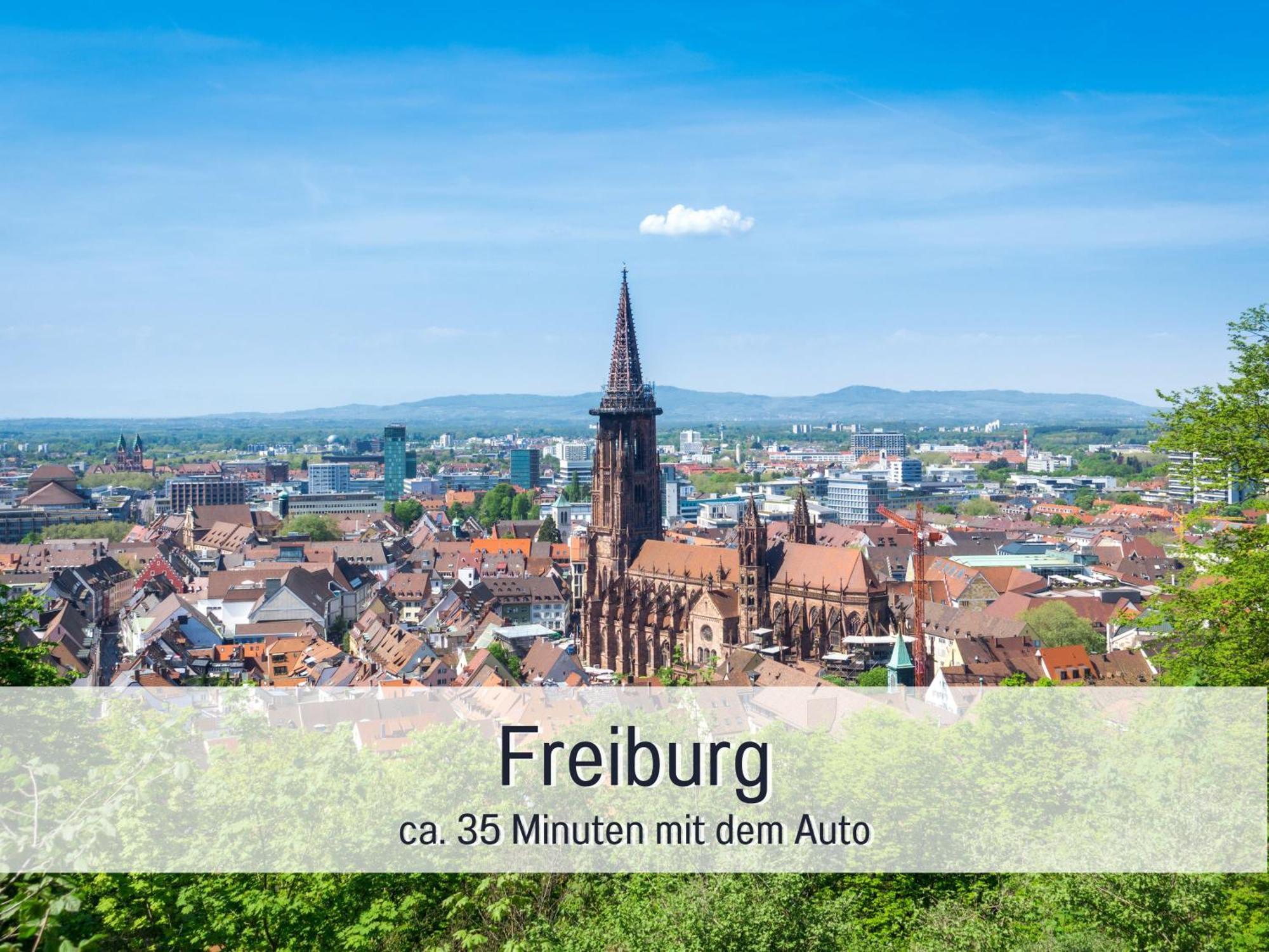 Herzgruen Direkt An Traumhaften Wanderwegen Balkon Mit Toller Aussicht Sauna Im Haus Tiefgarage E-Ladestation トートナウベルク エクステリア 写真