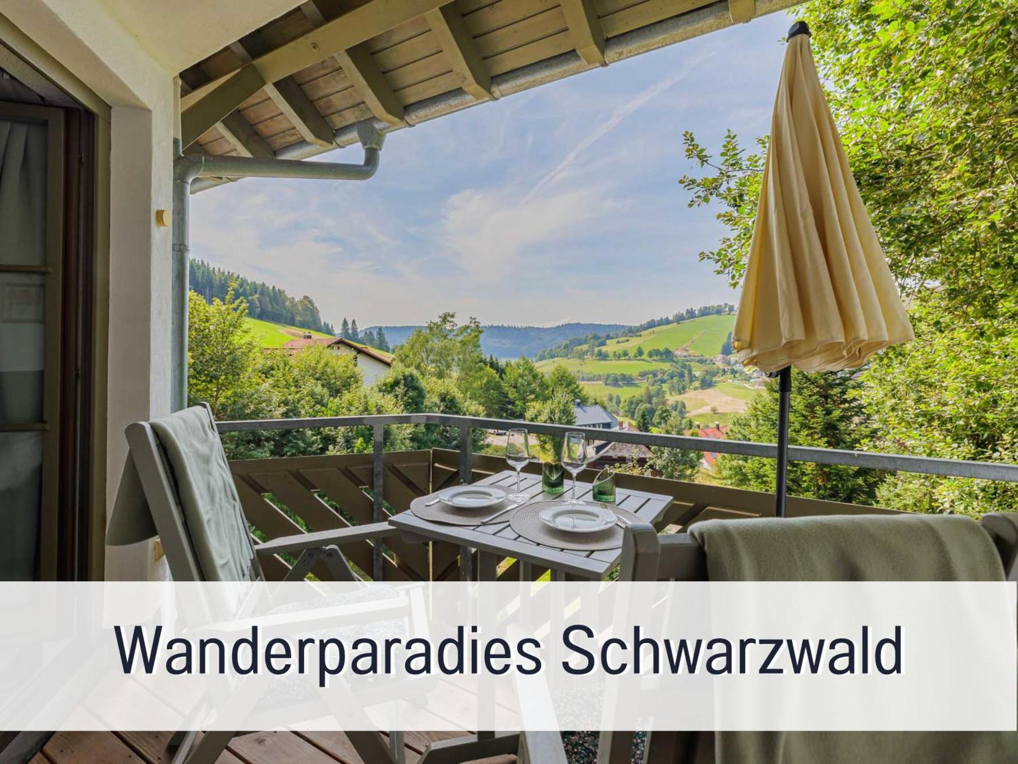 Herzgruen Direkt An Traumhaften Wanderwegen Balkon Mit Toller Aussicht Sauna Im Haus Tiefgarage E-Ladestation トートナウベルク エクステリア 写真